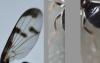 360908 – Photo : Jean-Michel GAREL – France (89)